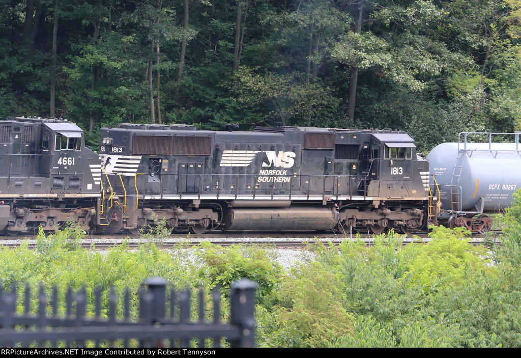 NS 1813